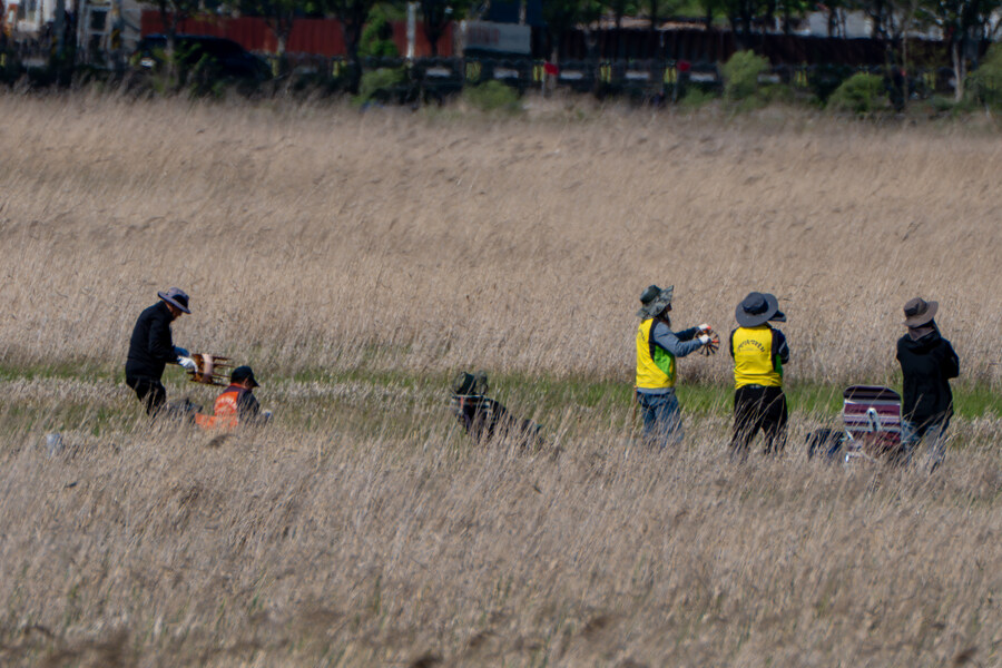 5월, 인천 해안 갯벌 탐조_100.jpg