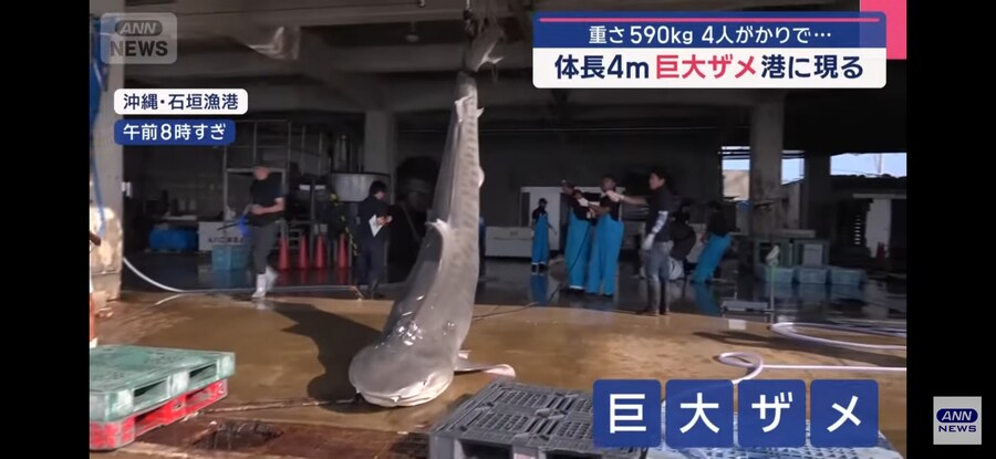 일본)"형이 왜 거기서 나와?"_1.jpg