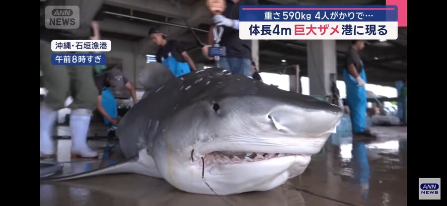 일본)"형이 왜 거기서 나와?"_2.jpg