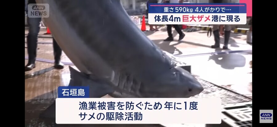 일본)"형이 왜 거기서 나와?"_4.jpg