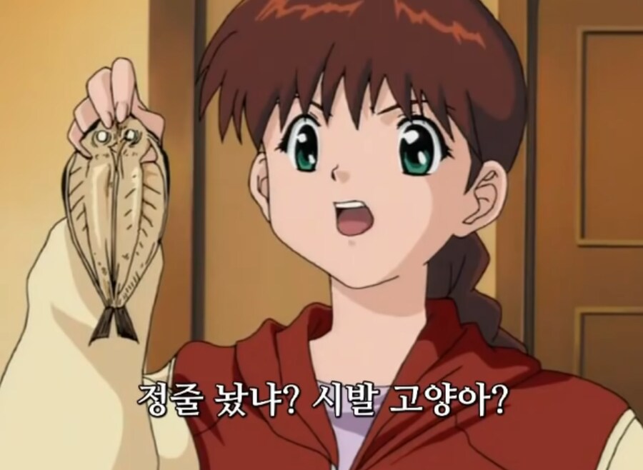 맥날 상스치 더블 머겨봤는디_1.png