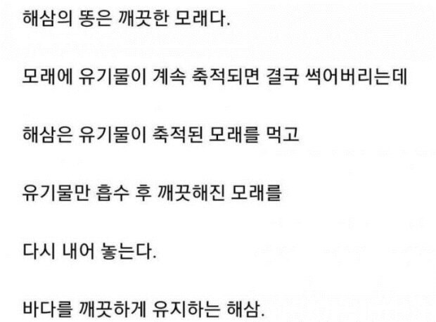 해삼이 모래를 만드는 과정_1.jpg