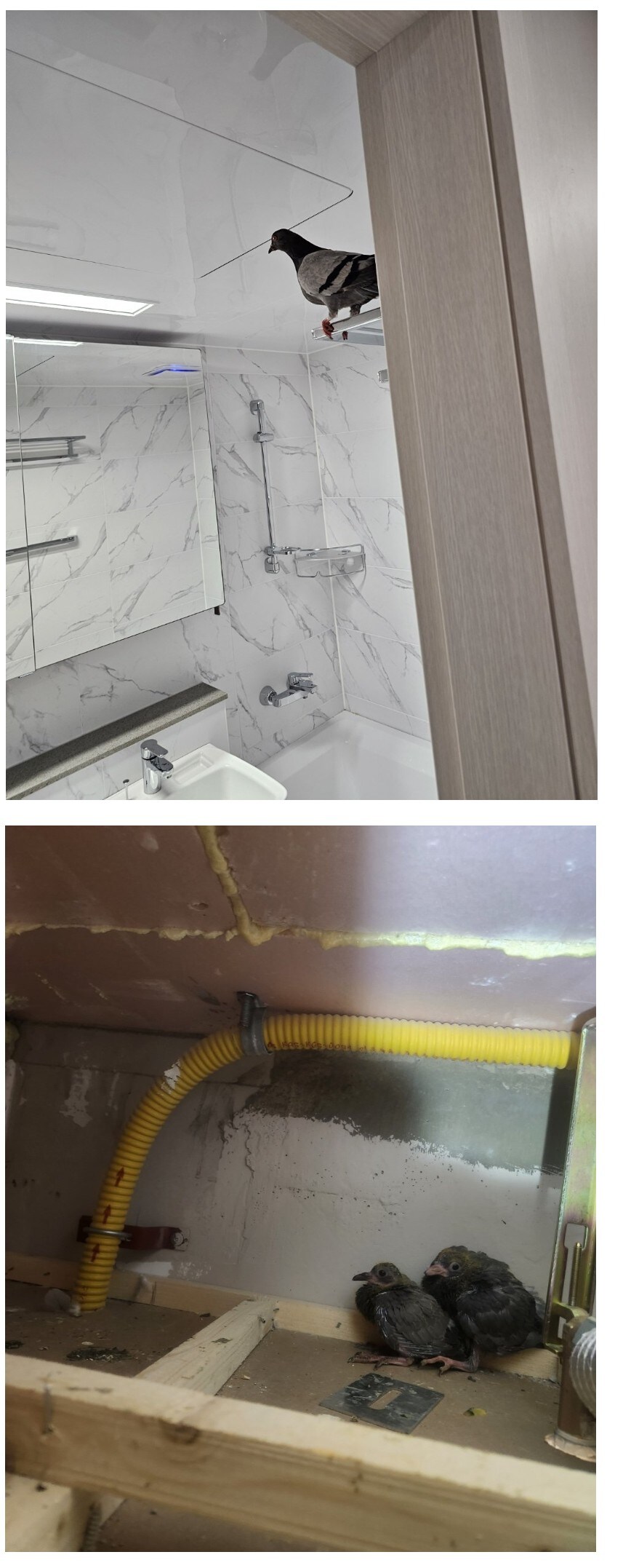 대참사가 발생해버린 신축 아파트_1.jpg