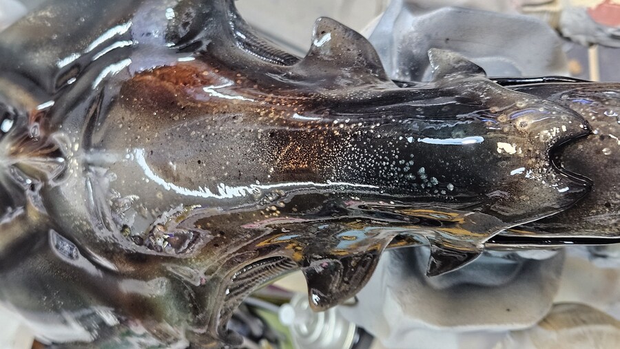 에이리언 퀸 [엠프레스]_22.jpg