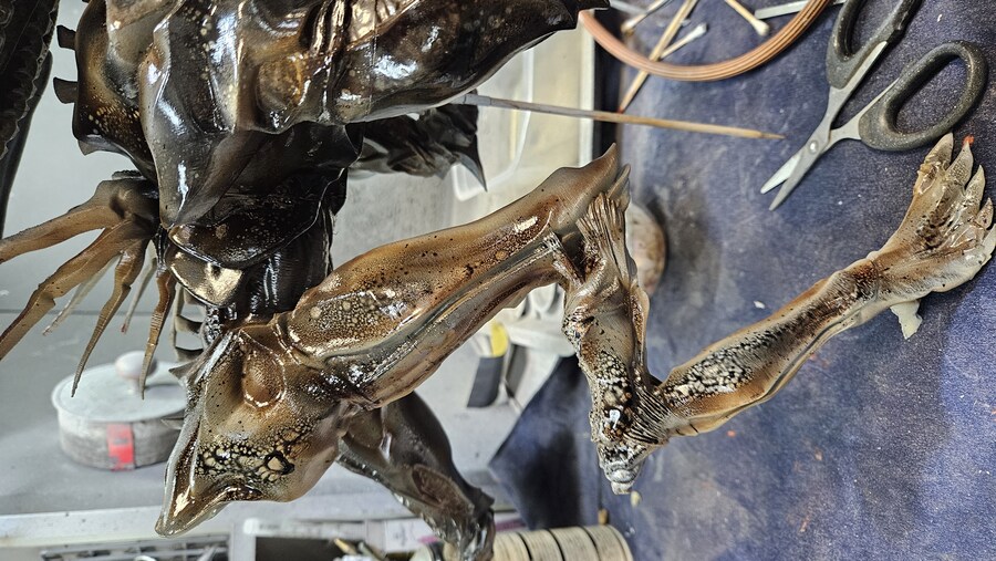 에이리언 퀸 [엠프레스]_31.jpg