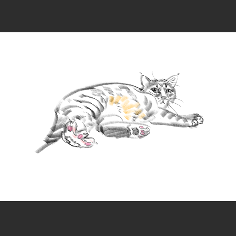 고양이) 우리집 고양이그림 보고가셈_2.png