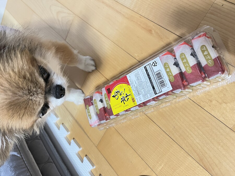 팥 모나카 좋아하는 사람 있나_1.jpg