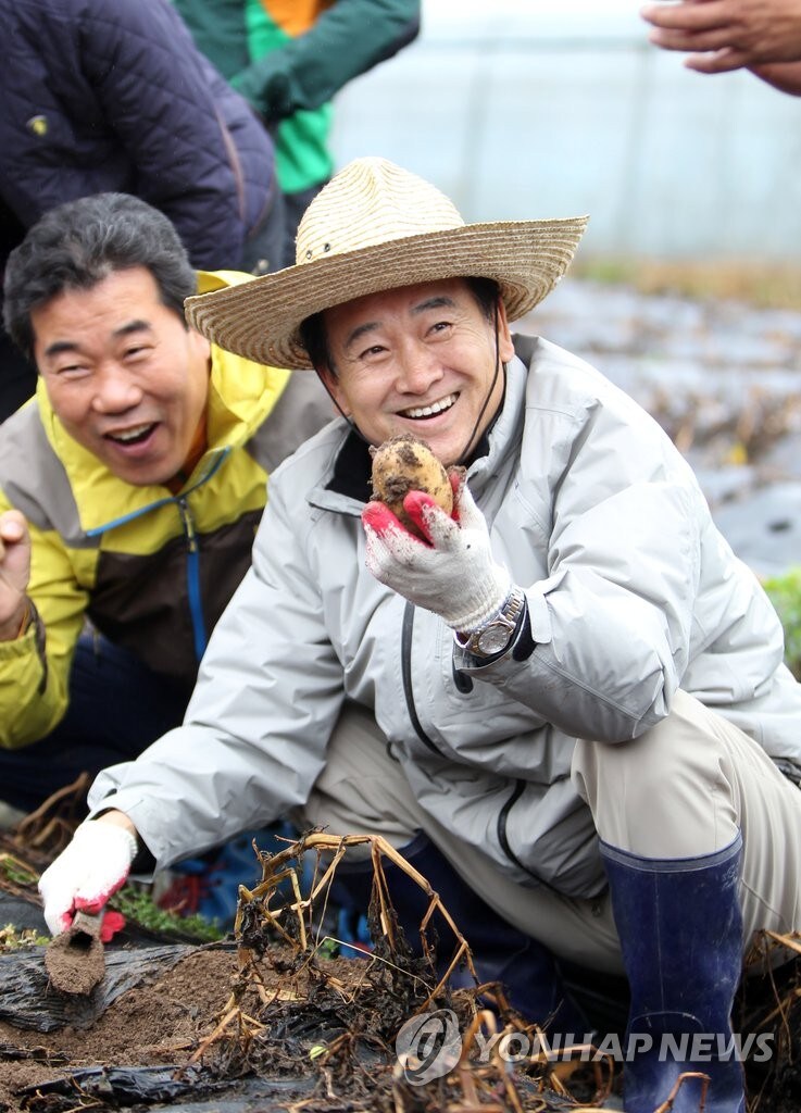 근디 lmo감자는 이재명 임기 안에는 수입허가 안날거 같긴 함_1.jpg