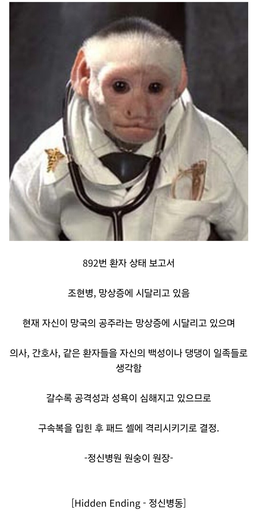 원숭이 아저씨의 대모험_69.jpg