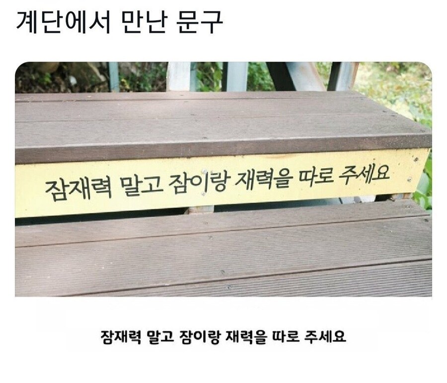 계단에서 만난 문구_1.jpg