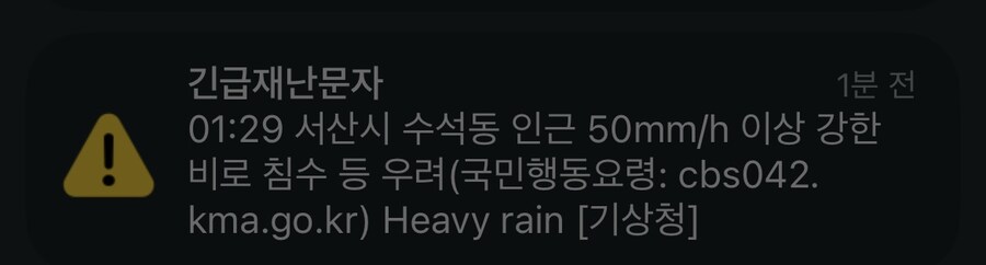서해안 난리남_1.jpg