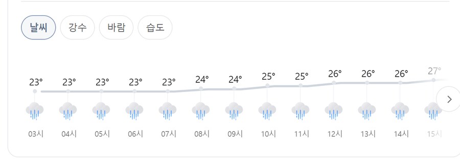하루종일 비오네_1.png