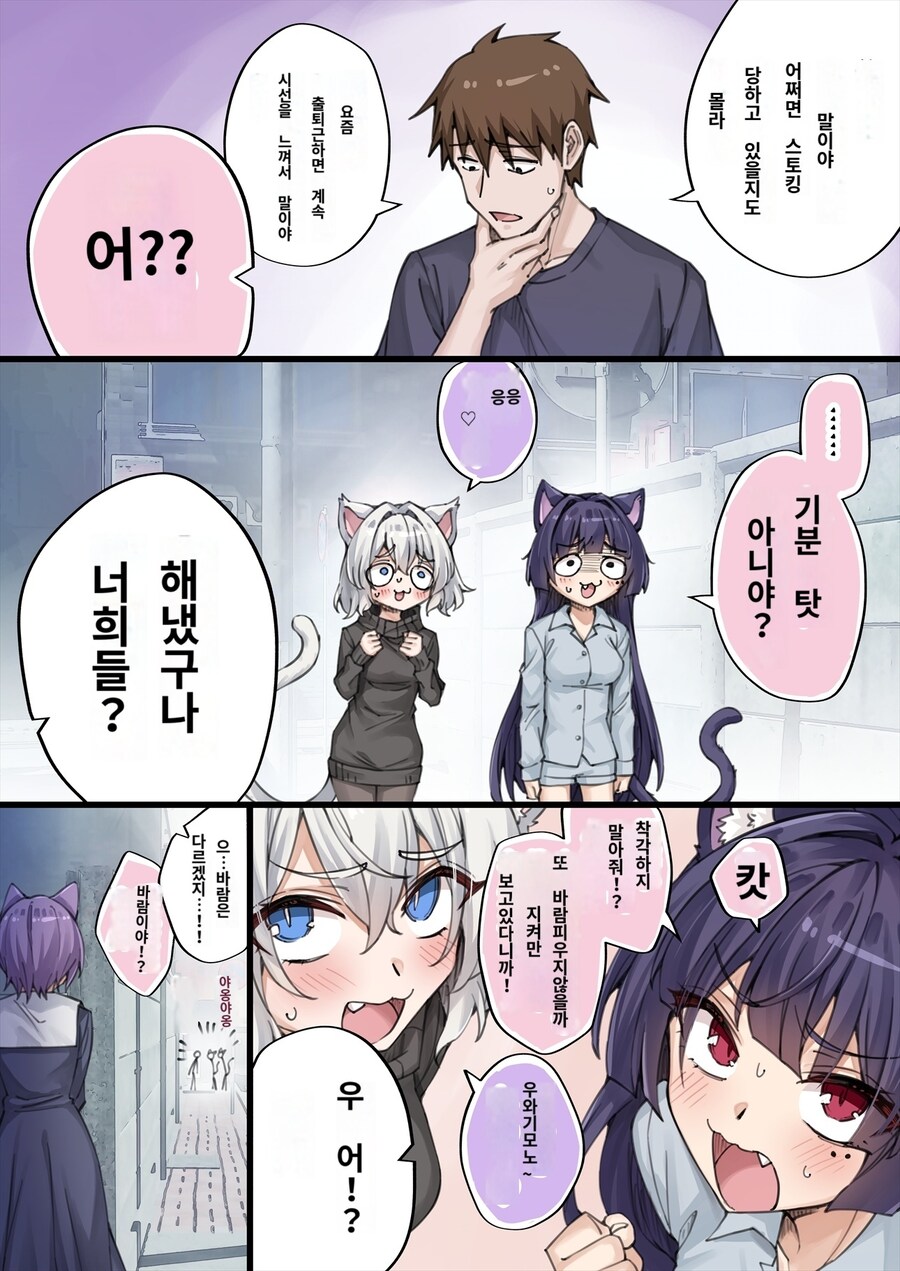 얀데레고양이)최근 스토킹 당한다고하는 주인_1.jpg
