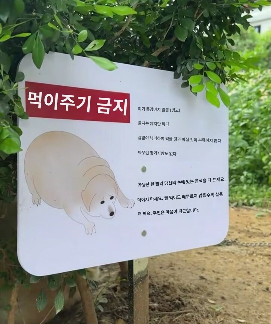 산길에 있는 경고판 수준. jpg