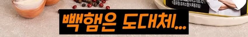 빽햄이 안나온 세계선.jpg_22.jpg