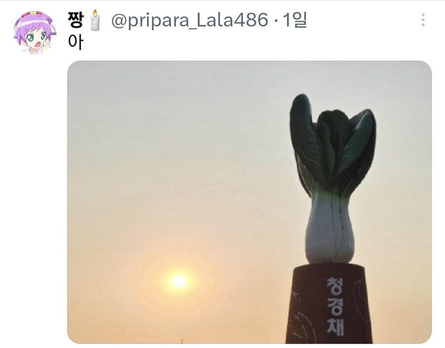 친구가 자기 동네에 청경채 동상 있대서 무슨 소리냐고 했는데_2.jpg