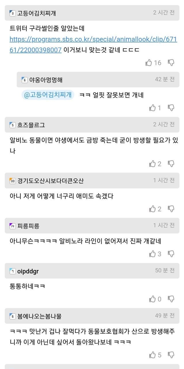 할아버지가 산에서 주운 개가 알고보니 너구리.jpg_2.jpg