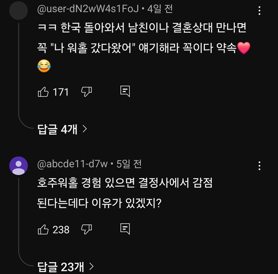 벌레들에게 테러 당한 호주 워홀 유튜버 누나 근황.jpg_1.jpg