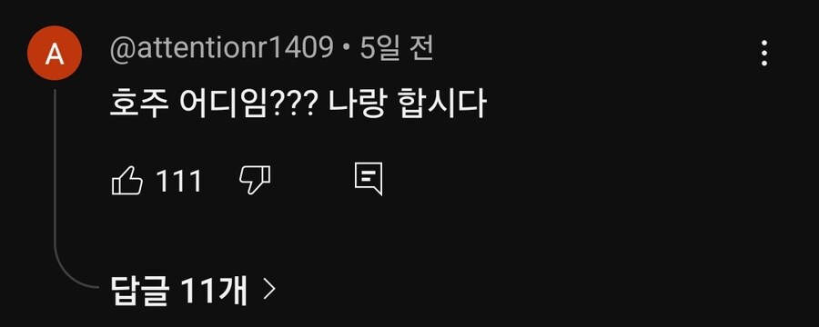 벌레들에게 테러 당한 호주 워홀 유튜버 누나 근황.jpg_3.jpg