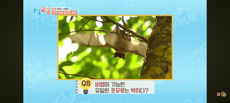 1박2일) 50% 확률도 100%로 만드는 이준.jpg_10.jpg