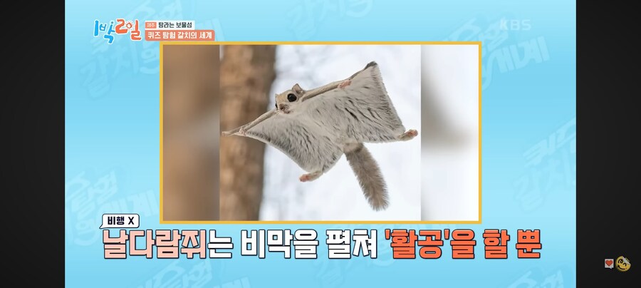 1박2일) 50% 확률도 100%로 만드는 이준.jpg_30.jpg