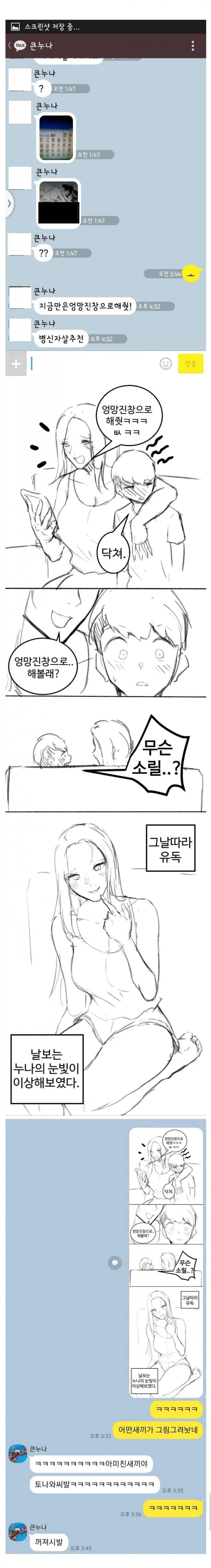 친누나와의 카톡을 누군가 만화로 그려놨다_1.jpg