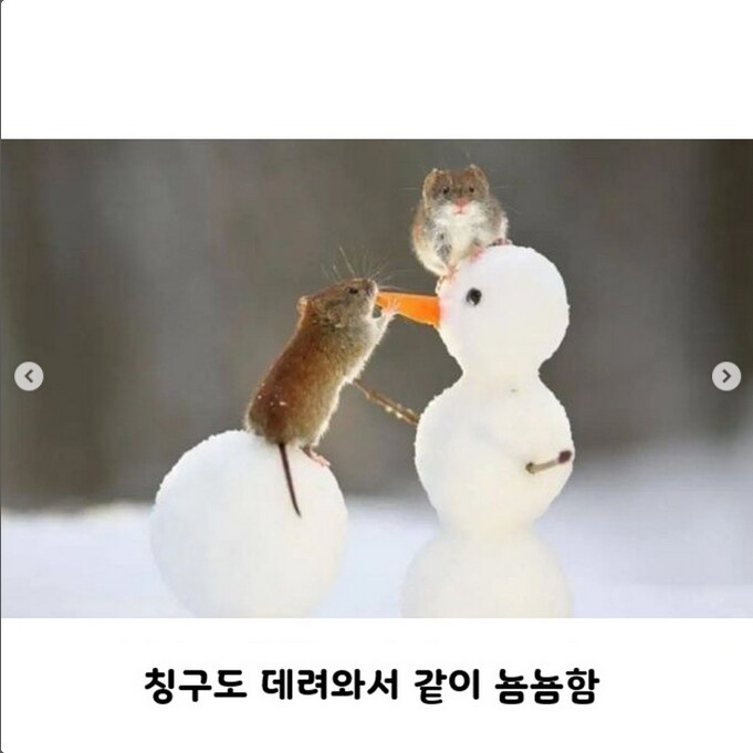 눈사람 만드는 짤의 귀여운 진실_3.png