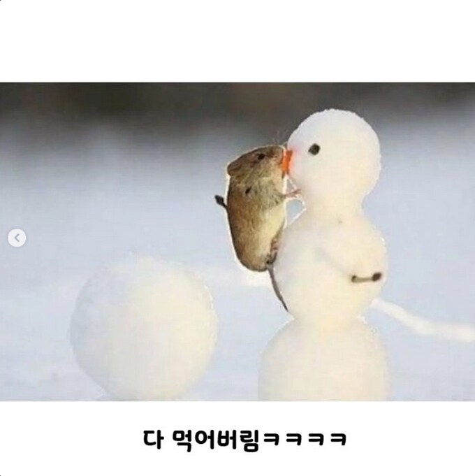 눈사람 만드는 짤의 귀여운 진실_4.png