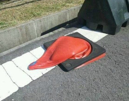 원숭이손 같은 날씨_5.jpg
