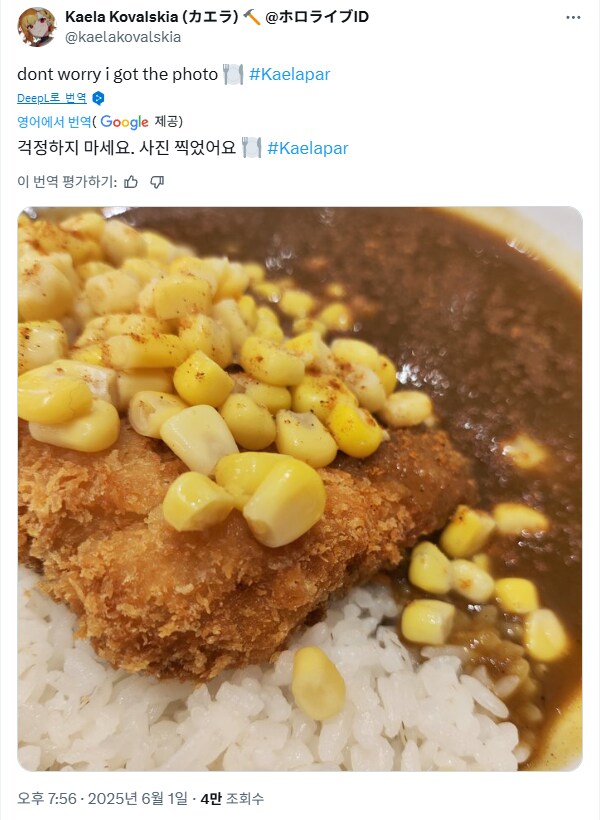 버튜버) 요즘 카엘라 음식 사진이 너무 정상이야_4.png