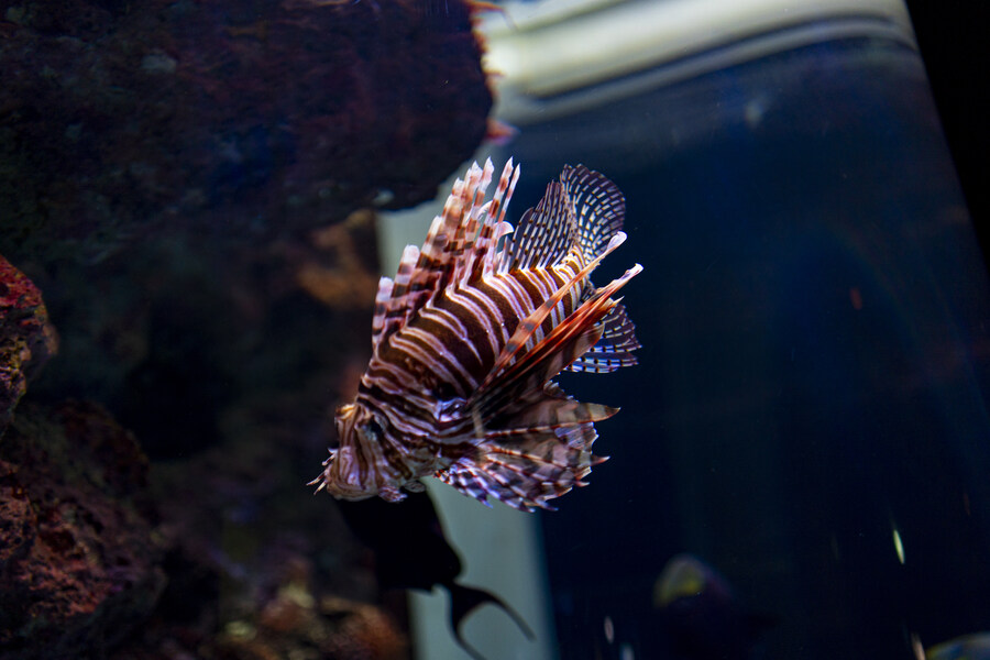 지인 부부와 오키나와를 함께 가게 된 스토리 +여행 가이드(스-압)_35.jpg