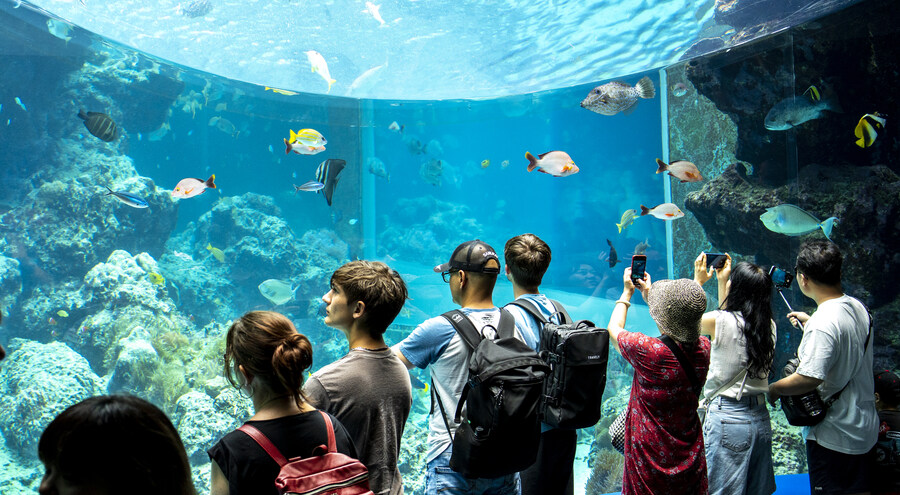 지인 부부와 오키나와를 함께 가게 된 스토리 +여행 가이드(스-압)_37.jpg