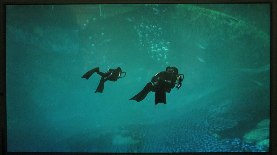 바이오하자드 레벌레이션스 엔딩_5.jpg