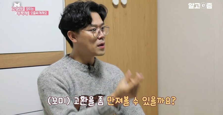 중성화 수술 두번 하게된 고양이들_4.jpg