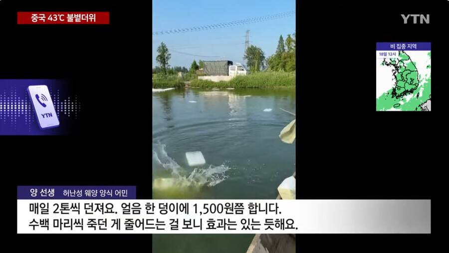 너무 더운 중국 근황_10.jpg