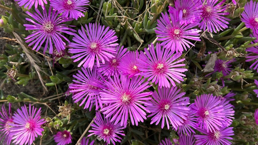 부산 사는 남자의 2025년 06월 먹부림. (※스압, 데이터)_61.jpg