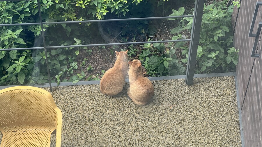 부산 사는 남자의 2025년 06월 먹부림. (※스압, 데이터)_94.jpg