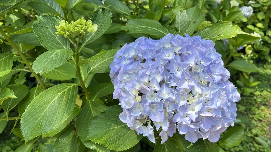 부산 사는 남자의 2025년 06월 먹부림. (※스압, 데이터)_130.jpg