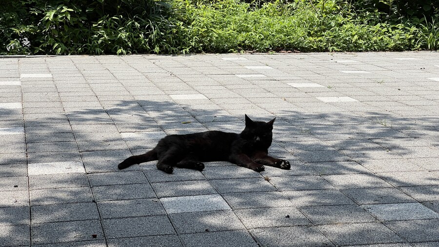 부산 사는 남자의 2025년 06월 먹부림. (※스압, 데이터)_133.jpg