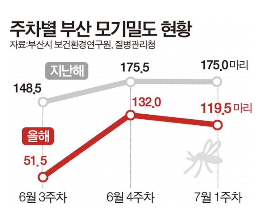 여태까지 모기가 잘 안보였던 이유_2.jpg