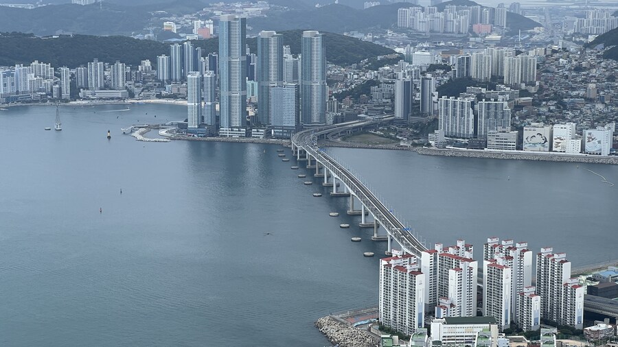 부산 사는 남자의 2025년 06월 먹부림. (※스압, 데이터)_248.jpg