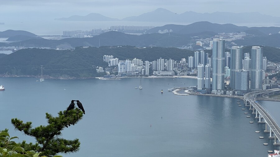 부산 사는 남자의 2025년 06월 먹부림. (※스압, 데이터)_252.jpg