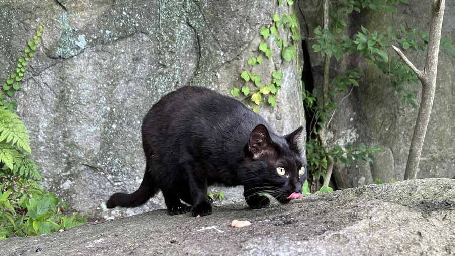 부산 사는 남자의 2025년 06월 먹부림. (※스압, 데이터)_253.jpg