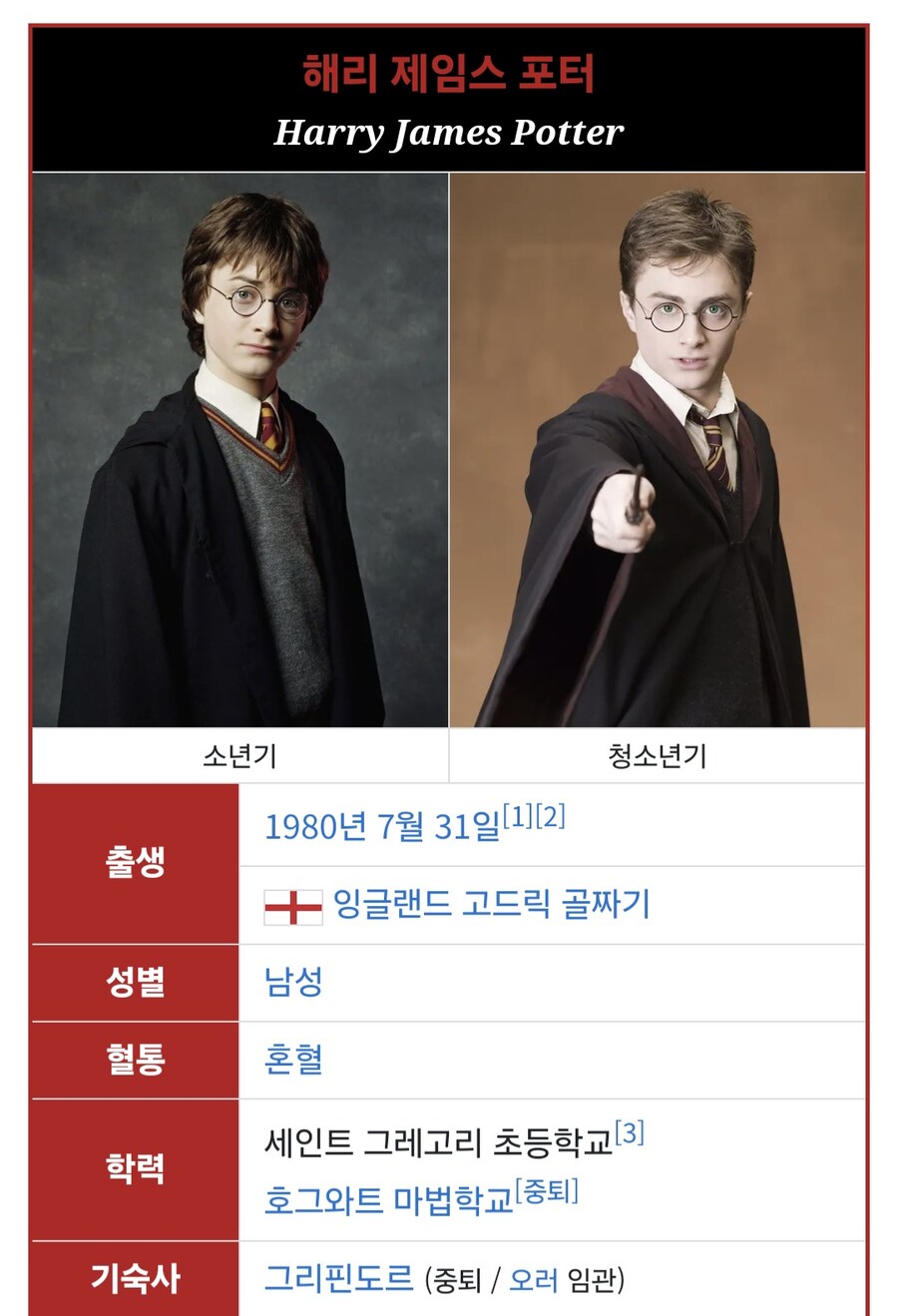 마법사 세계관에서는 해리포터가 오러 임관된거에 비판없음?_1.jpg