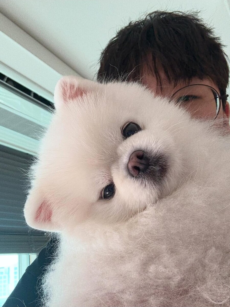 롤) 사진 올렸다가 악플테러 당하고 피드백 반영한 프로게이머_1.png