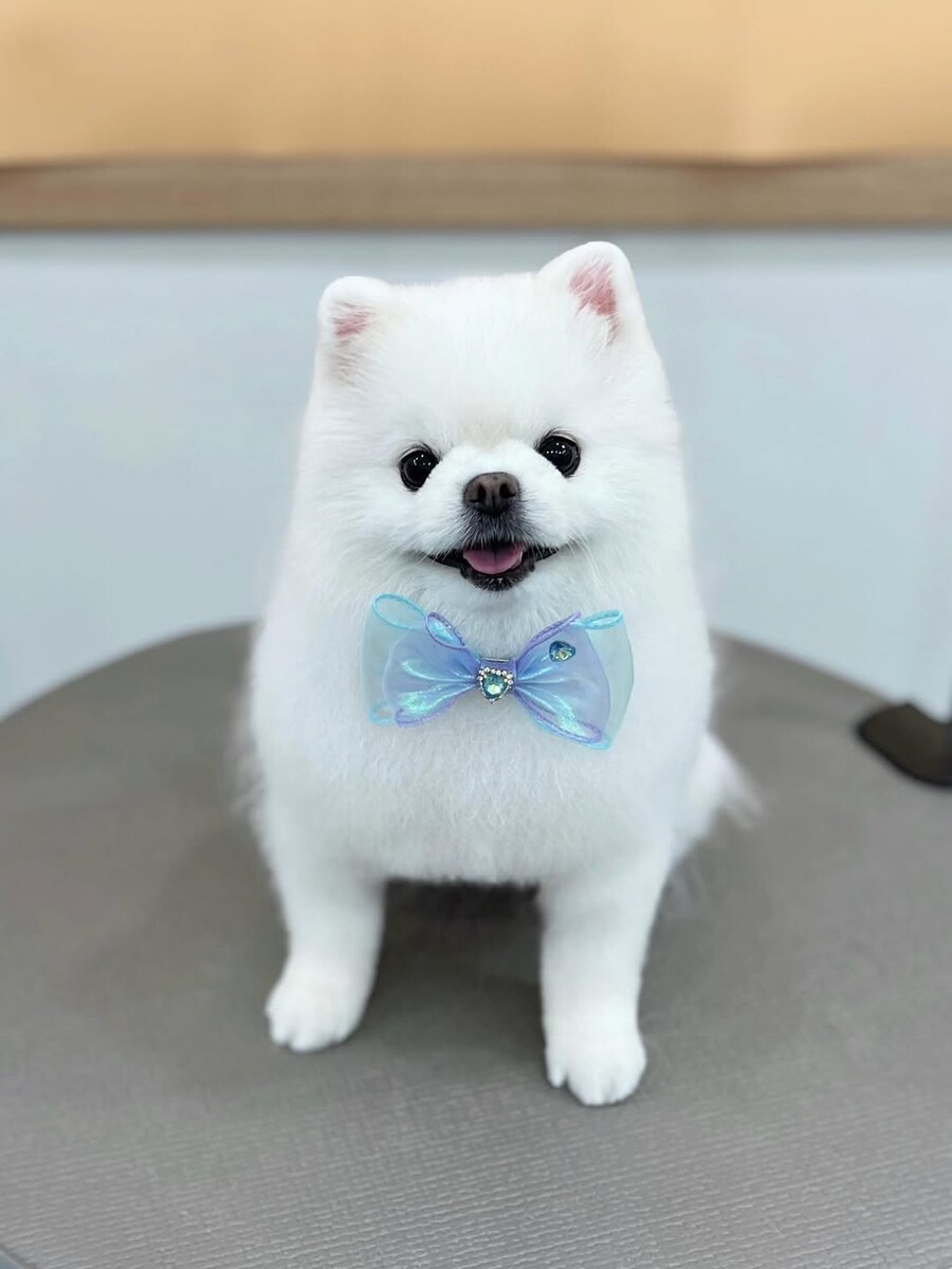 롤) 사진 올렸다가 악플테러 당하고 피드백 반영한 프로게이머_3.png