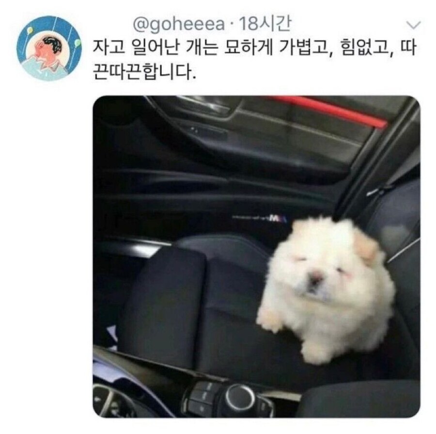 묘하게 가볍고 힘없고 따끈따끈한 거.jpg_1.jpg
