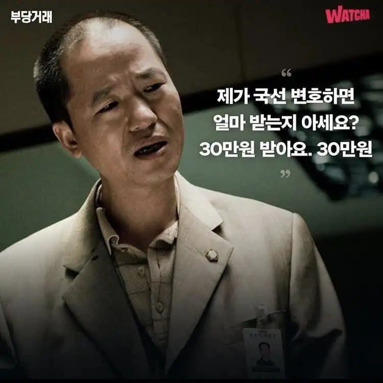 국선 변호사가 일 대충한다는 인식이 박힌 이유.jpg_13.webp
