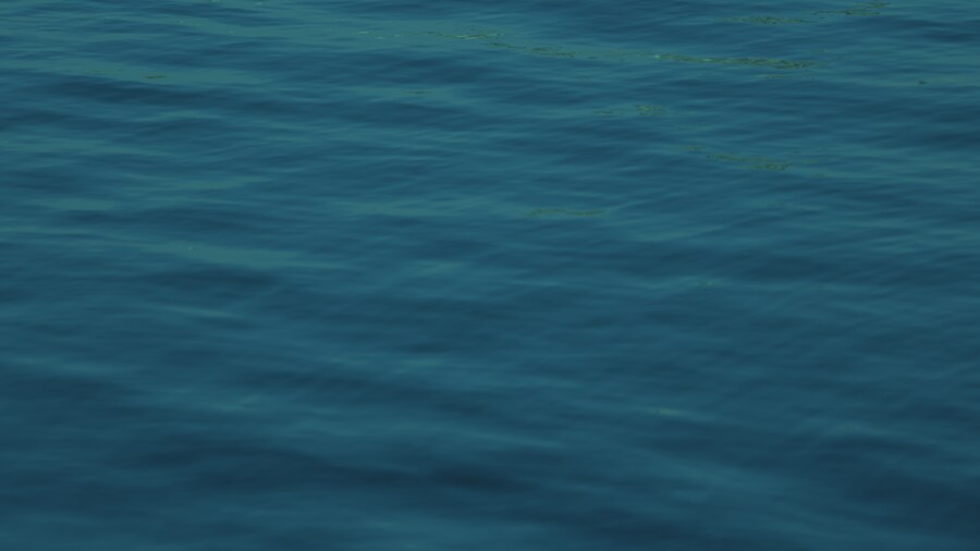 딥 블루 서울_2.png