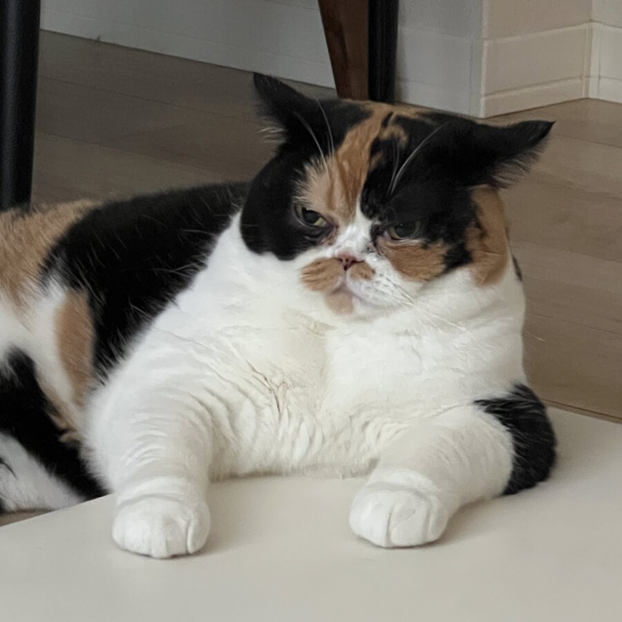 세월의 흐름.jpg_4.jpg